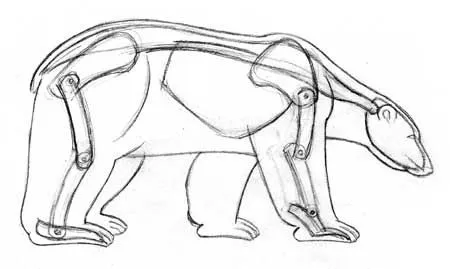 Dibujar los osos polares | Dessiner la vie