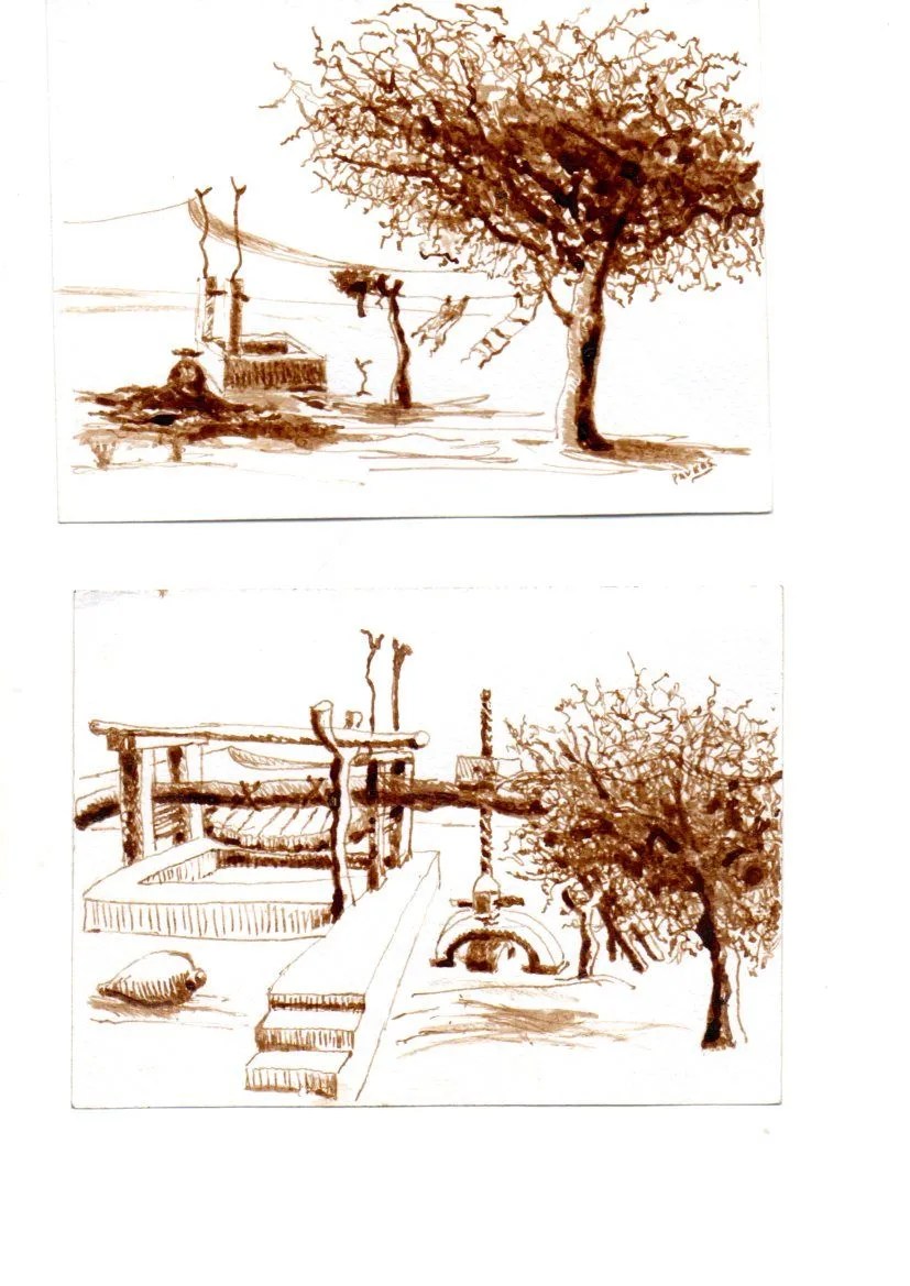 dibujar paisajes y huarangos a lapiz carboncillo a la aguada dibujar paisajes y huarangos a lapiz carboncillo a la aguada