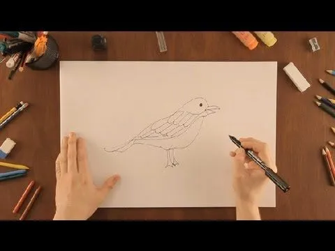 Cómo dibujar un pájaro : Dibujos de la Naturaleza - YouTube Cómo dibujar un pájaro : Dibujos de la Naturaleza - YouTube