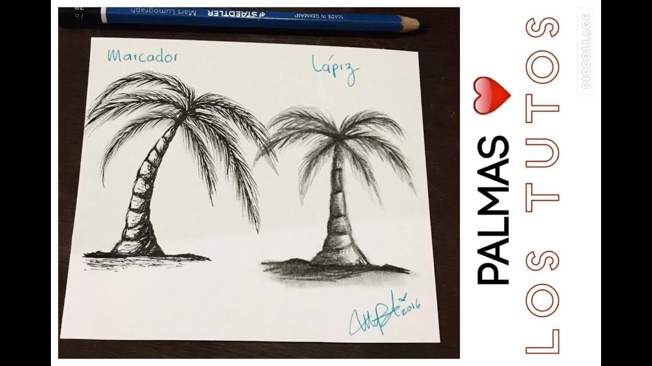 COMO DIBUJAR PALMAS - LAPIZ VS MARCADOR -HOW TO DRAW PALMS PENCIL VS PEN -  YouTube