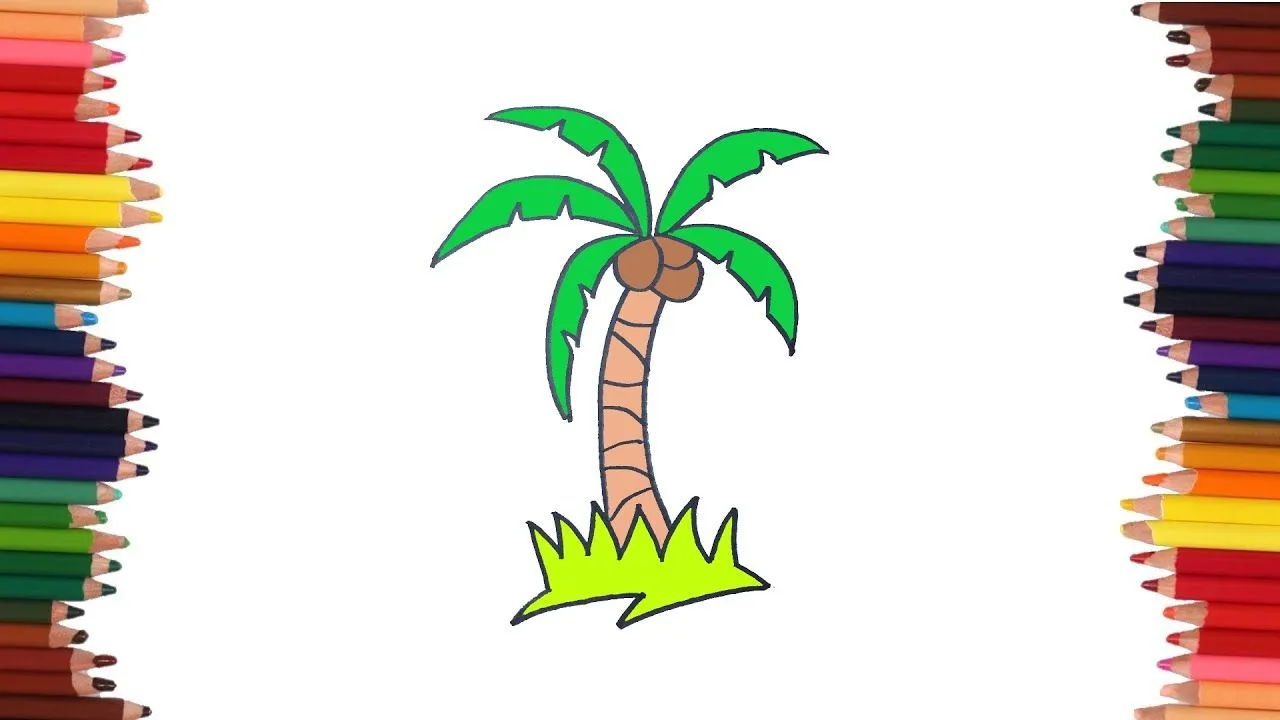 Cómo dibujar una palmera | Dibujos faciles - YouTube Cómo dibujar una palmera | Dibujos faciles - YouTube