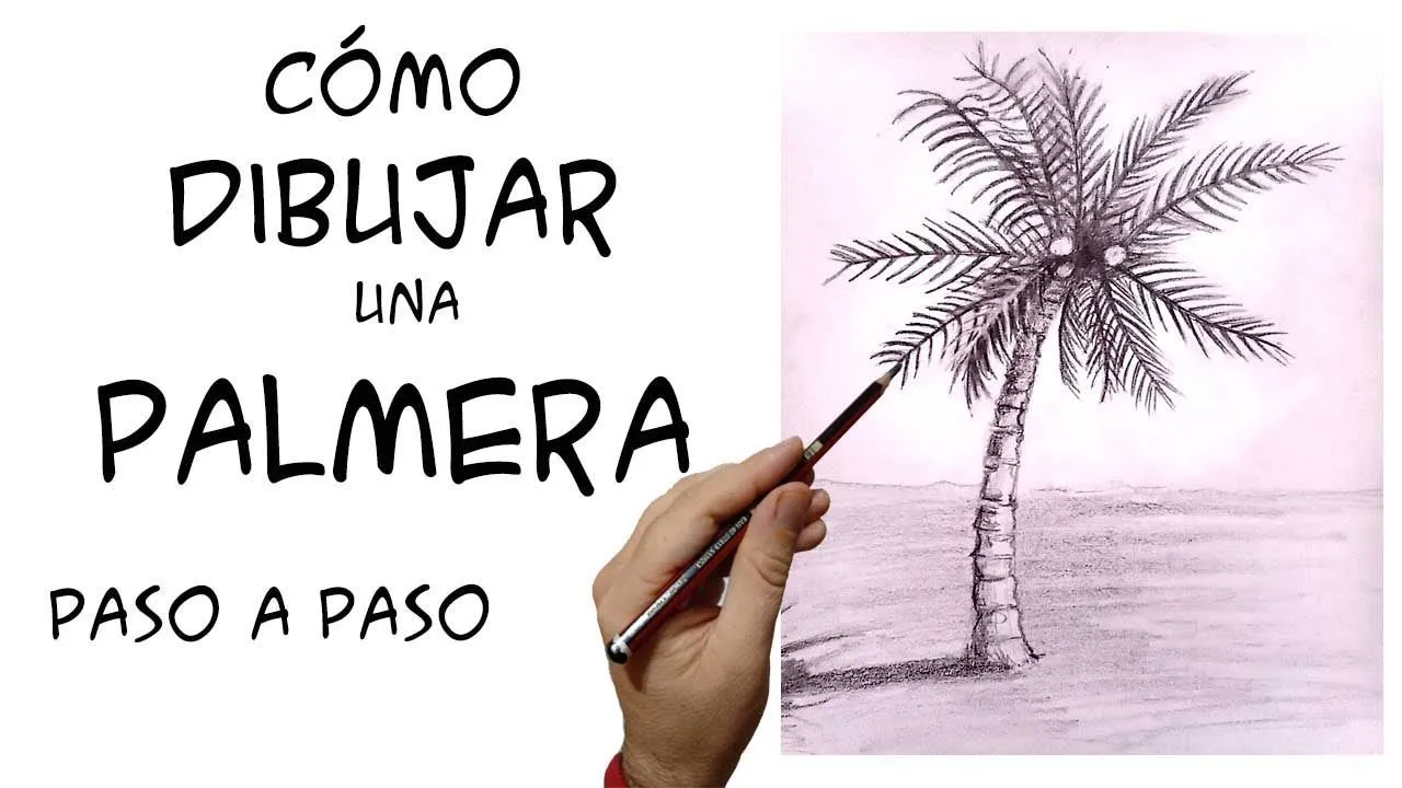 Cómo dibujar una palmera paso a paso - YouTube Cómo dibujar una palmera paso a paso - YouTube