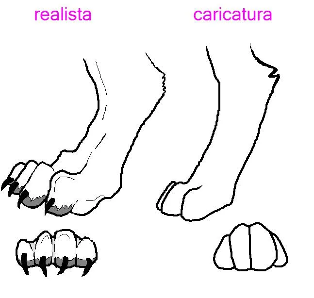 Como Dibujar Patas by zoradraws on DeviantArt Como Dibujar Patas by zoradraws on DeviantArt