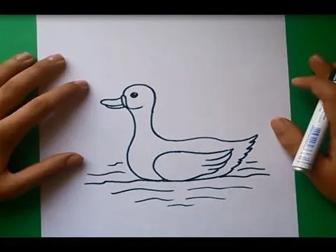 Como dibujar un pato paso a paso 2 | How to draw a duck 2 - YouTube Como dibujar un pato paso a paso 2 | How to draw a duck 2 - YouTube