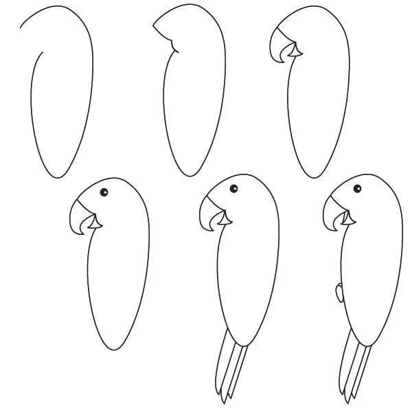 Como dibujar un perico | como se dibuja.. | Pinterest | How To ...
