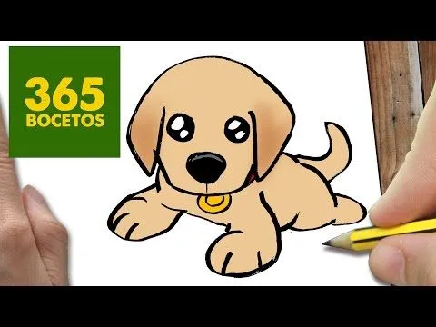 COMO DIBUJAR UN PERRITO DULCE PASO A PASO: Os enseñamos a dibujar ...