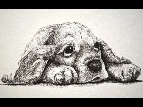Cómo dibujar un perro cachorro y triste y tierno con marcadores ... Cómo dibujar un perro cachorro y triste y tierno con marcadores ...
