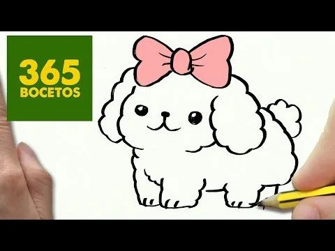 COMO DIBUJAR UN PERRO CHIHUAHUA PASO A P - Youtube Downloader mp3