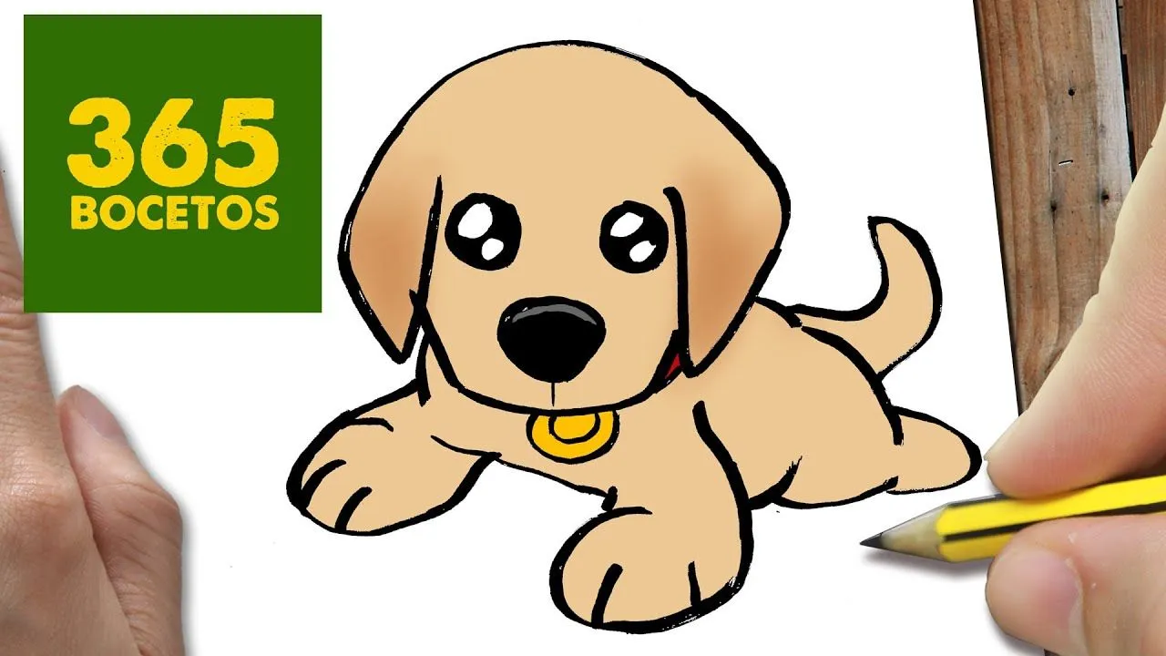 COMO DIBUJAR UN PERRO LABRADOR PASO A PASO: Os enseñamos a dibujar ... COMO DIBUJAR UN PERRO LABRADOR PASO A PASO: Os enseñamos a dibujar ...