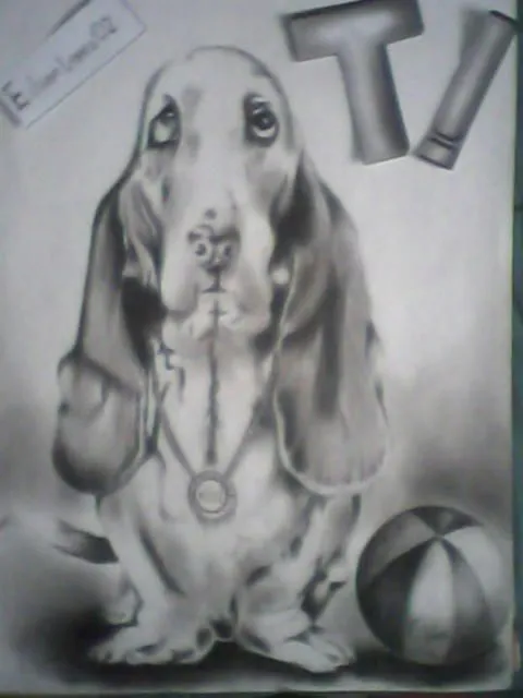 Pitbull dibujo a lapiz - Imagui