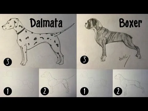 Como dibujar un perro raza Pastor Alemá - Youtube Downloader mp3 Como dibujar un perro raza Pastor Alemá - Youtube Downloader mp3