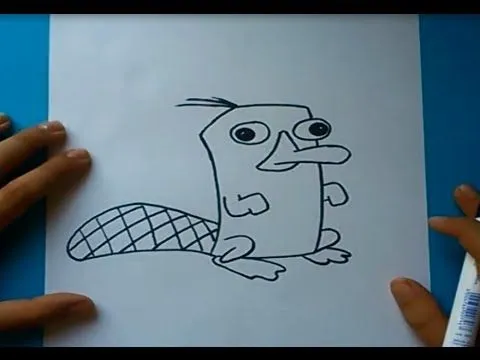 Como dibujar a Perry paso a paso - Phineas y Ferb | How to draw ... Como dibujar a Perry paso a paso - Phineas y Ferb | How to draw ...