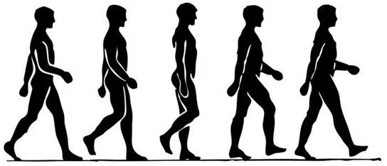 Dime cómo caminas y te diré quién eres | Ni libre ni ocupado