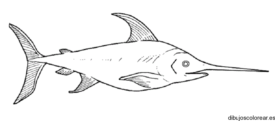 Peces | Dibujos para Colorear