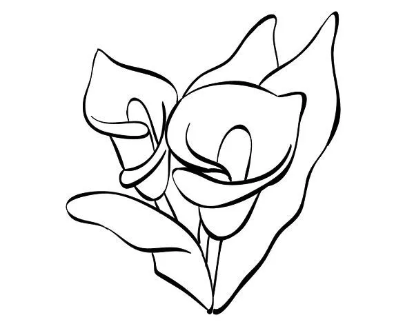 dibujar y pintar alcatraces - Buscar con Google | Para Pintar ... dibujar y pintar alcatraces - Buscar con Google | Para Pintar ...