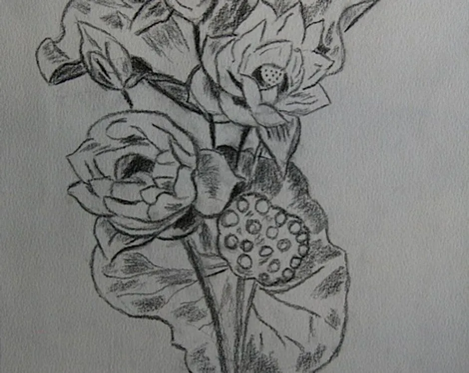 Rosas y flores a lapiz - Imagui