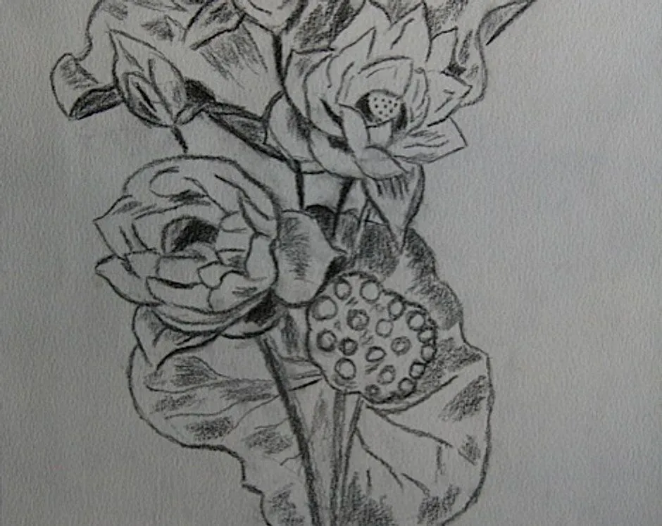 Como dibujar un ramo de flores a lapiz - Imagui Como dibujar un ramo de flores a lapiz - Imagui