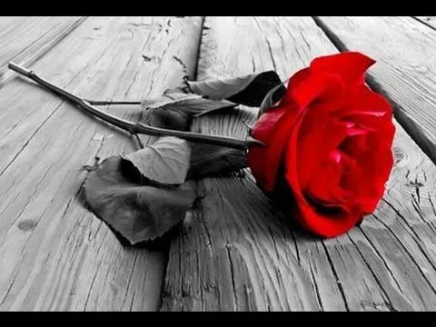 Como dibujar una rosa... How to draw a rose... Como desenhar uma ... Como dibujar una rosa... How to draw a rose... Como desenhar uma ...