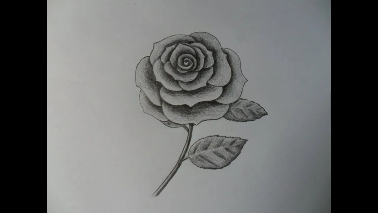 Como dibujar una Rosa, improvisándola. - YouTube