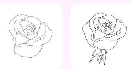 Como dibujar una rosa para manualidades ~ Solountip.com Como dibujar una rosa para manualidades ~ Solountip.com