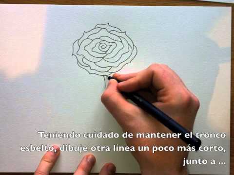 Cómo dibujar una Rosa - Paso a Paso - YouTube Cómo dibujar una Rosa - Paso a Paso - YouTube