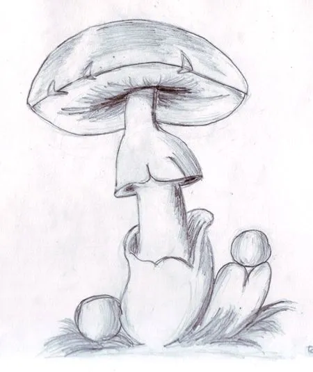 Dibujar rosas faciles con lapiz - Imagui