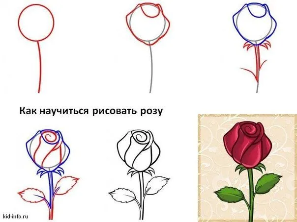 Como dibujar rosas rojas realistas
