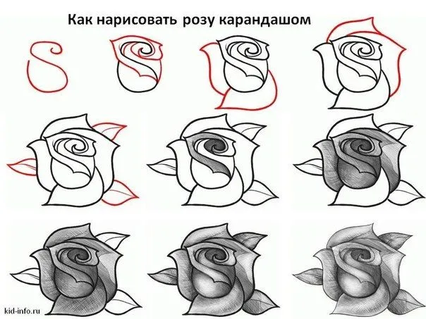 Como dibujar rosas paso a paso - Imagui