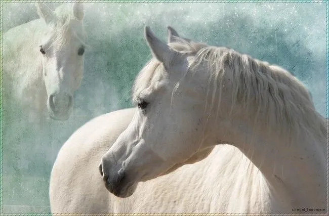 Como dibujar rostro caballo FACIL