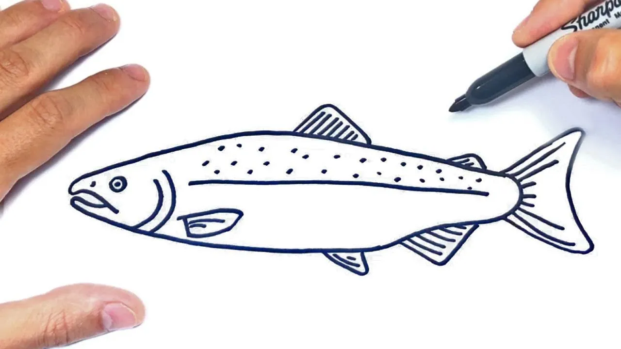 Cómo dibujar un Salmon Paso a Paso | Dibujo de Salmon Pez - YouTube Cómo dibujar un Salmon Paso a Paso | Dibujo de Salmon Pez - YouTube
