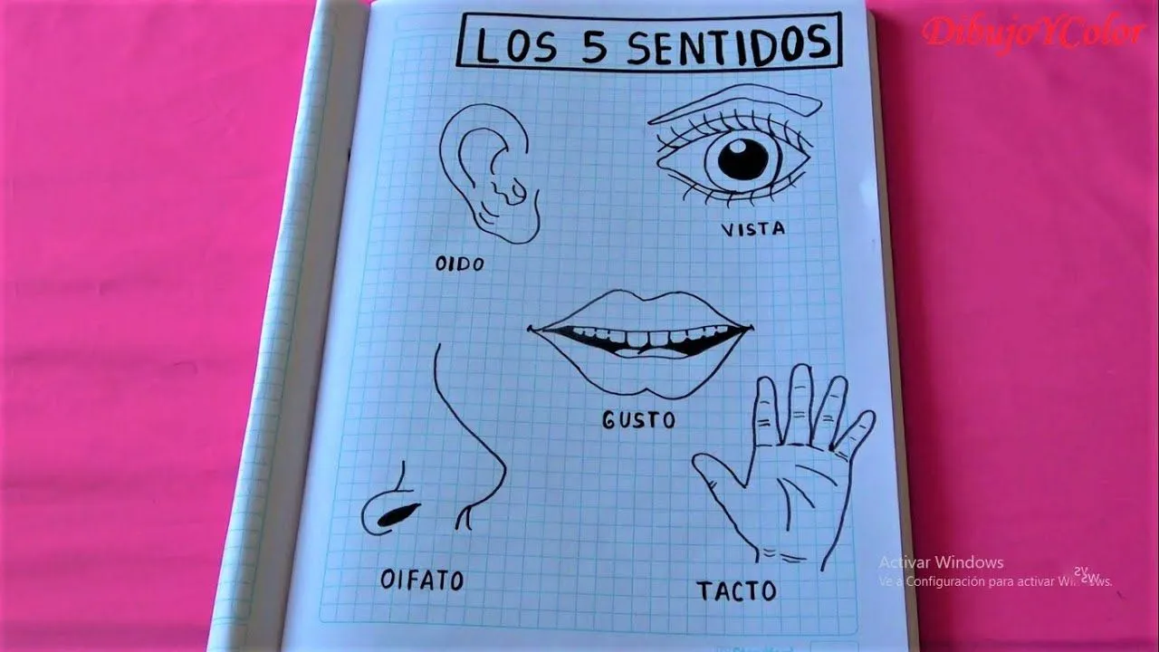 Como dibujar los cinco sentidos/how to draw the 5 senses/DibujoYColor - YouTube Como dibujar los cinco sentidos/how to draw the 5 senses/DibujoYColor - YouTube