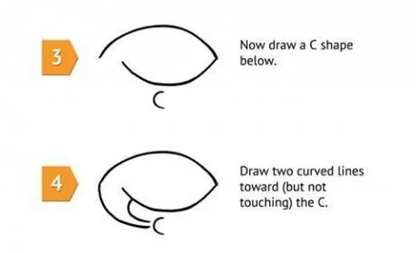 Como dibujar un tiburón fácilmente - Fornewssites! Como dibujar un tiburón fácilmente - Fornewssites!