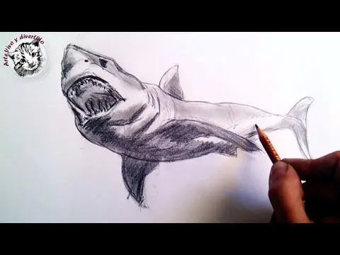 Como dibujar un tiburon a lapiz paso a paso: Tecnicas lápiz de ... Como dibujar un tiburon a lapiz paso a paso: Tecnicas lápiz de ...