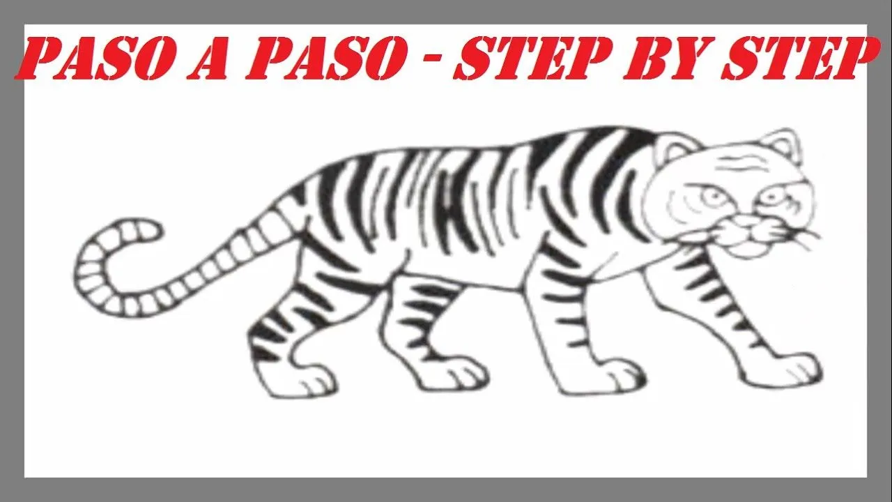 Como dibujar un Tigre paso a paso l How to draw a Tiger step by ... Como dibujar un Tigre paso a paso l How to draw a Tiger step by ...