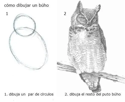 Aprende a dibujar acá! Primera parte - Taringa!