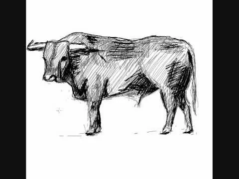 Como dibujar un toro - How to draw a bull - YouTube
