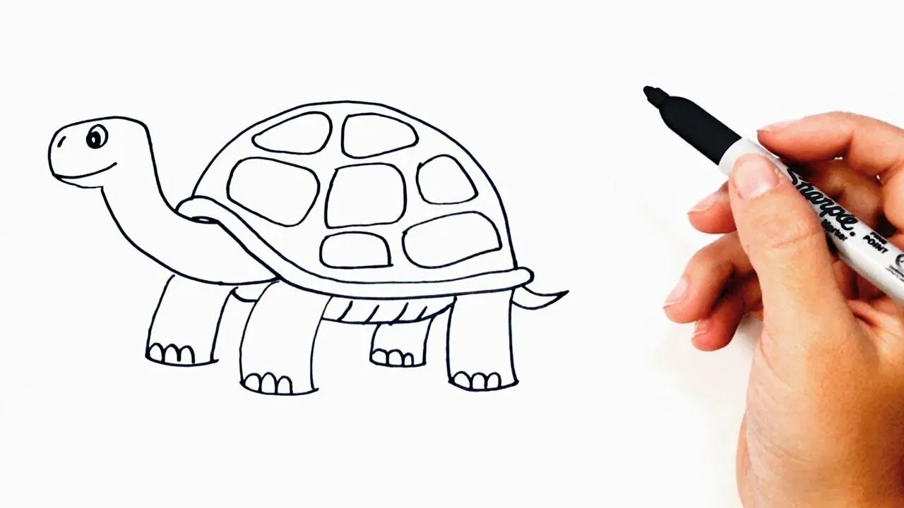 Cómo dibujar un Tortuga paso a paso | Dibujo fácil de Tortuga - YouTube Cómo dibujar un Tortuga paso a paso | Dibujo fácil de Tortuga - YouTube