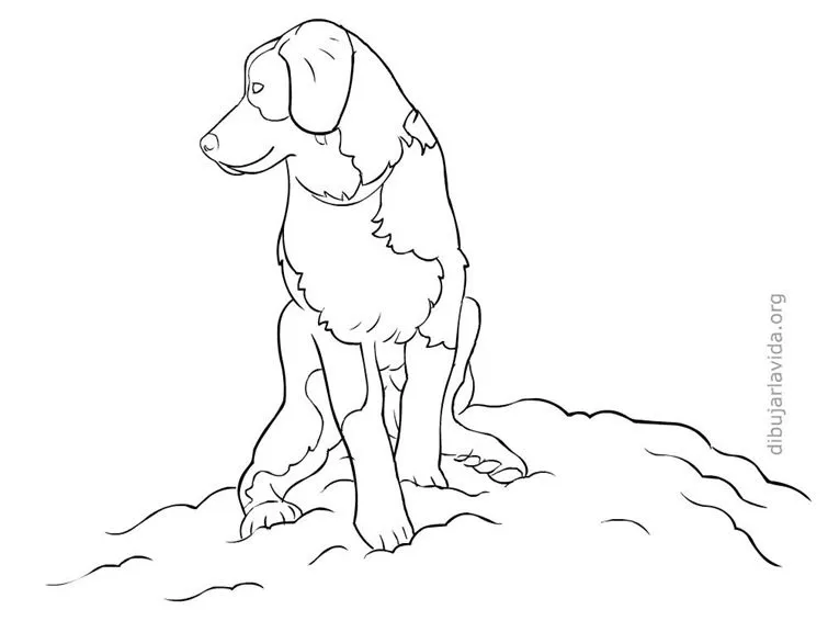 Dibujar la vida | Modelos simplificados de dibujo para copiar ... Dibujar la vida | Modelos simplificados de dibujo para copiar ...