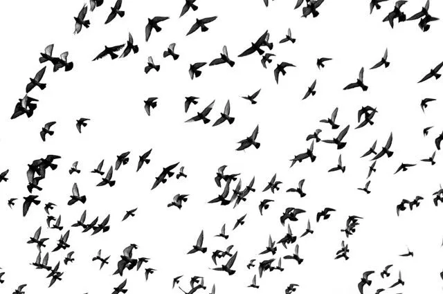 Dibujarconluz's Blog | Bitácora sobre cosas que me interesan.