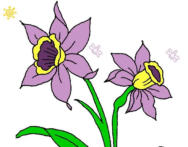 Dibujo de 0rquidea pintado por Ashley13 en Dibujos.net el día 17 ... Dibujo de 0rquidea pintado por Ashley13 en Dibujos.net el día 17 ...