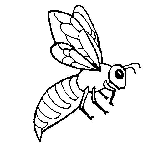 Dibujo de Abeja 2 para Colorear - Dibujos.net Dibujo de Abeja 2 para Colorear - Dibujos.net