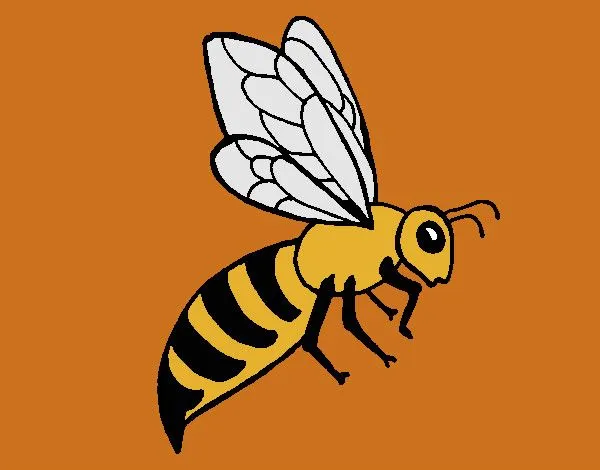 Dibujo de abeja pintado por Jfrkffkkf en Dibujos.net el día 08-09 ... Dibujo de abeja pintado por Jfrkffkkf en Dibujos.net el día 08-09 ...