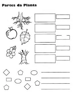 Dibujo de Actividad sobre Plantas para Colorear y Completar ~ 4 Dibujo Dibujo de Actividad sobre Plantas para Colorear y Completar ~ 4 Dibujo