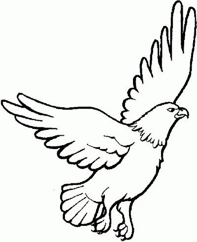 Dibujo de Águila. Dibujo para colorear de Águila. Dibujos infantiles ... Dibujo de Águila. Dibujo para colorear de Águila. Dibujos infantiles ...