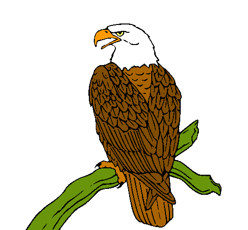 Dibujo de Águila en una rama pintado por 1001n en Dibujos.net el ...