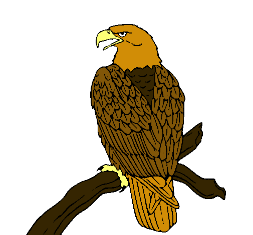 Dibujo de Águila en una rama pintado por Aguila en Dibujos.net el ... Dibujo de Águila en una rama pintado por Aguila en Dibujos.net el ...