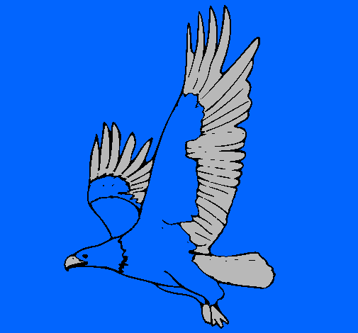 Dibujo de Águila volando pintado por America en Dibujos.net el día ... Dibujo de Águila volando pintado por America en Dibujos.net el día ...