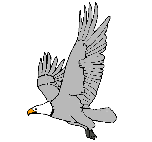 Dibujo de Águila volando pintado por Anomino en Dibujos.net el día ...