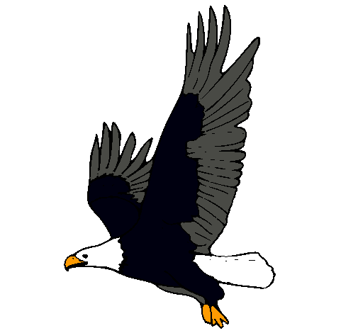 Dibujo de Águila volando pintado por Balta en Dibujos.net el día ... Dibujo de Águila volando pintado por Balta en Dibujos.net el día ...