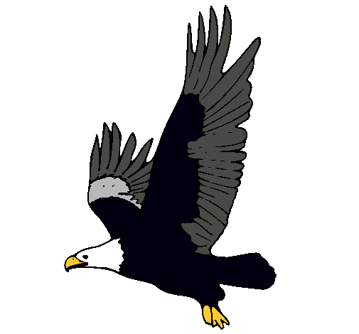 Dibujo de Águila volando pintado por Colorida en Dibujos.net el ...